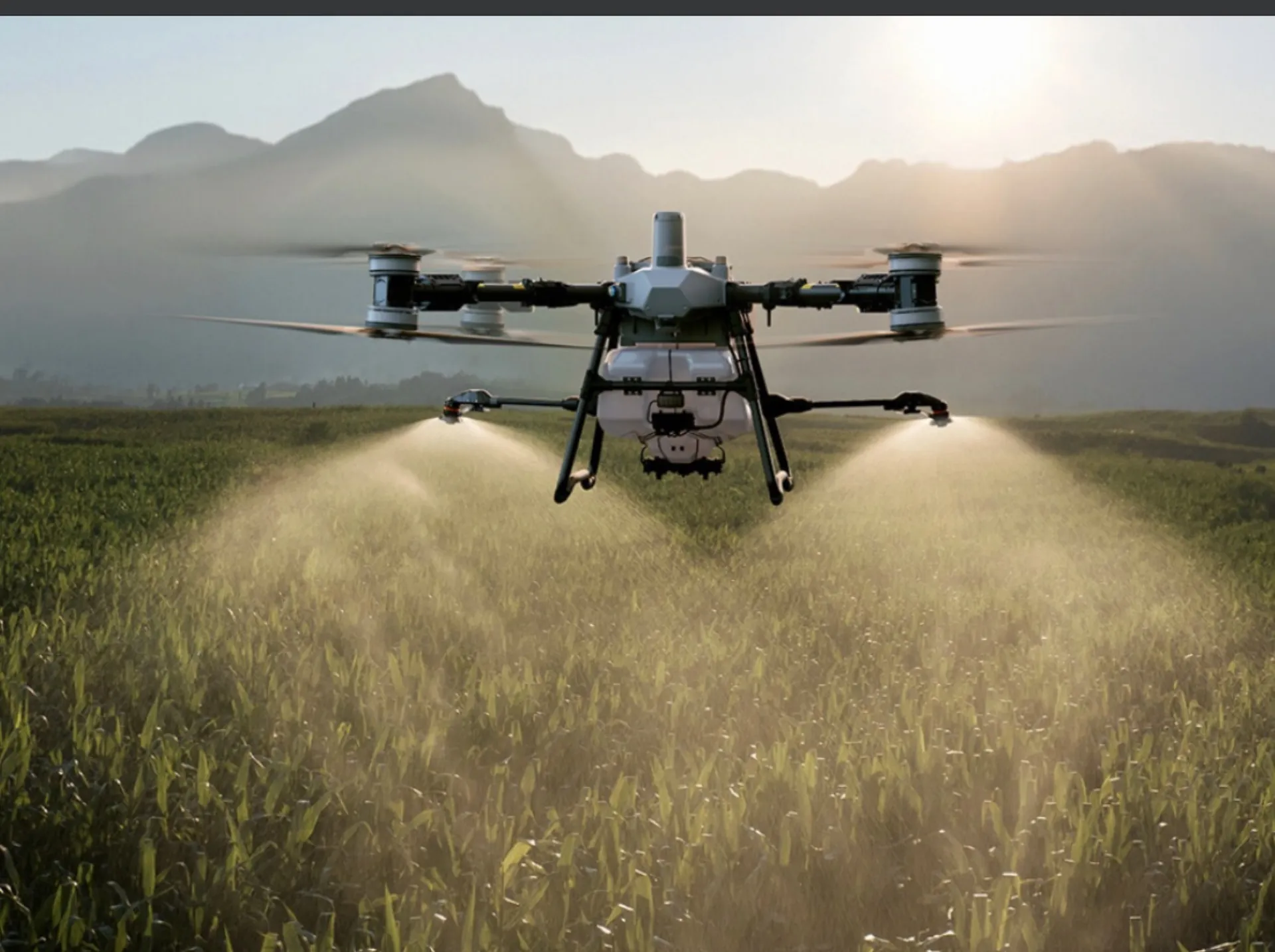 DJI Agras T50 fumigando campo de cultivo de frente