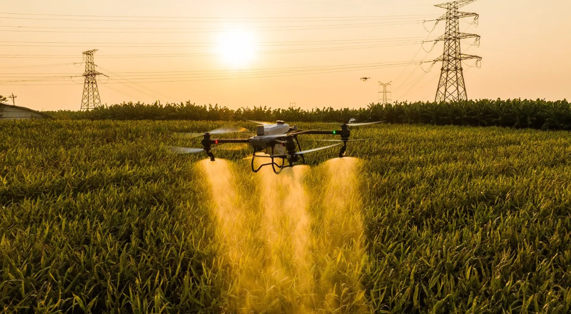 DJI Agras T50 fumigando campo al atardecer en Navarra