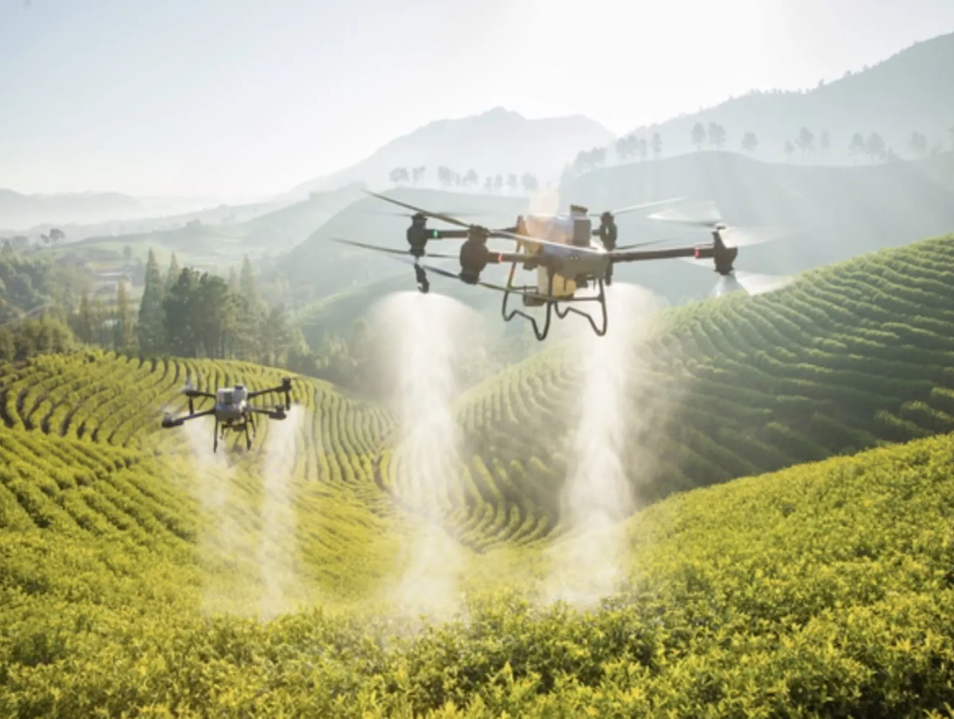 Dos drones DJI fumigando en terrazas de montaña