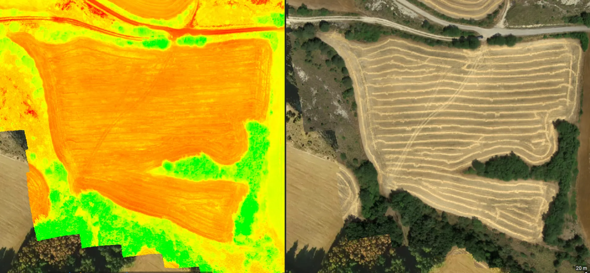 Comparativa análisis NDVI vs fotografía real de parcela